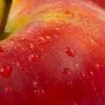 Мультик о курении — Ну заяц…..не кури!